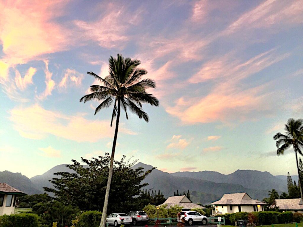 Just after sunrise as seen on an early morning Princeville walk.