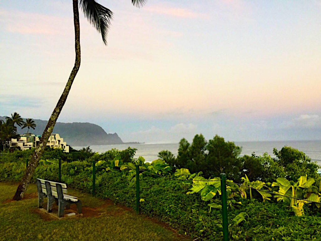 The mist seen in early morning princeville