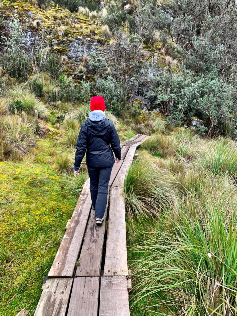 Walking trail in the Cajas National Park.