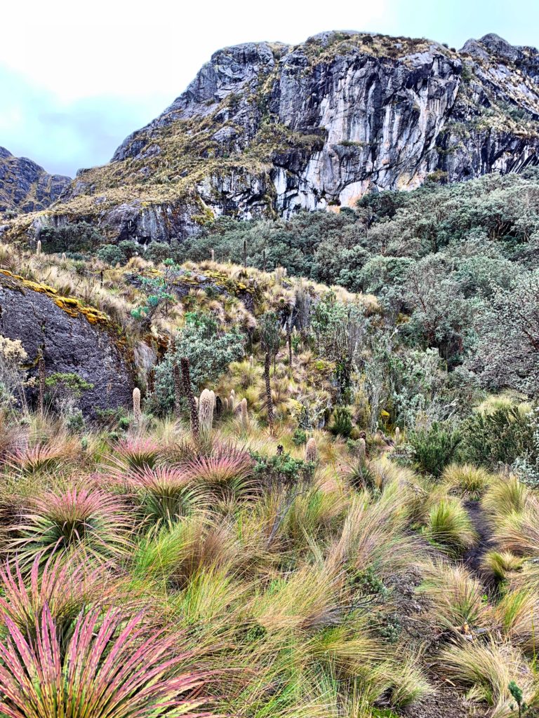 Cajas National Park beautiful scenery