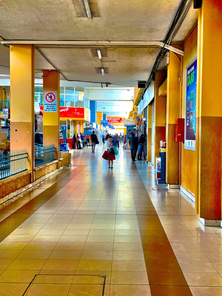 Bus terminal to Cajas National Park