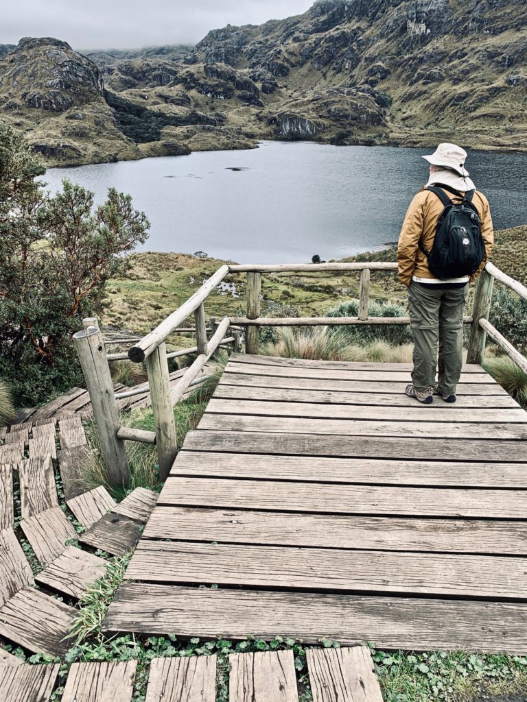 Cajas National Park day tour