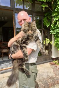 Sampson, a Maine Coon we pet sat for