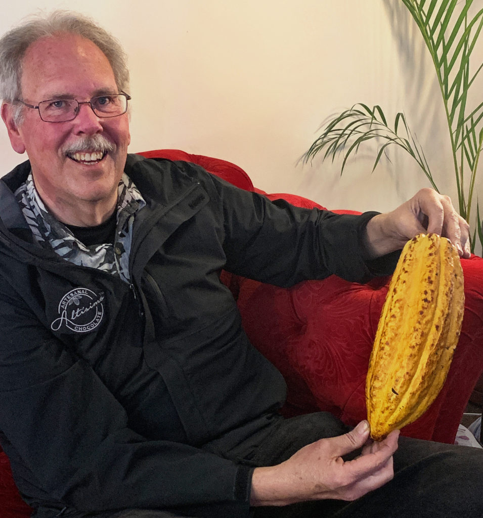 Rare atesanal aribba cacao bean.