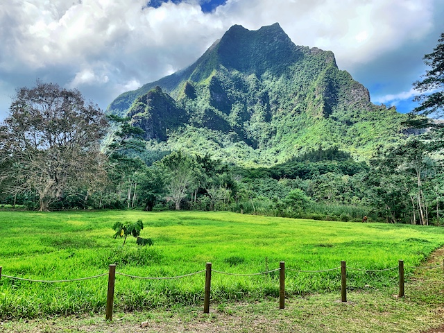 views while touring on our budget moorea trip
