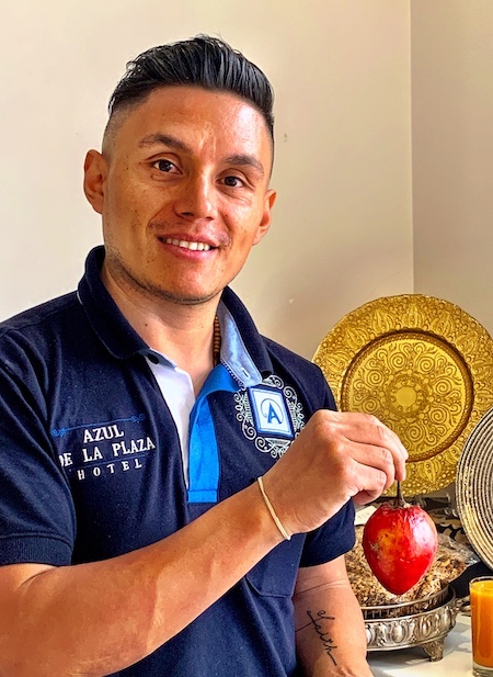 Waiter holding a tomato grown on a tree