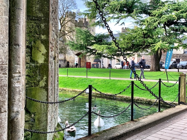 Moat surrounding the Bishop's Palace in Wells, Soerset.