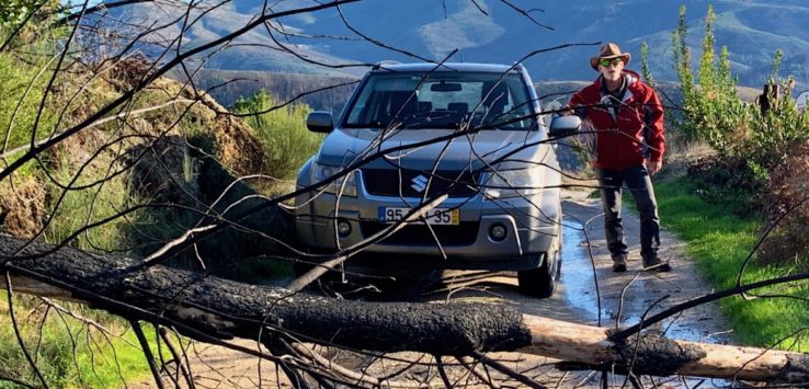 a fallen tree in the driveway is a problem.