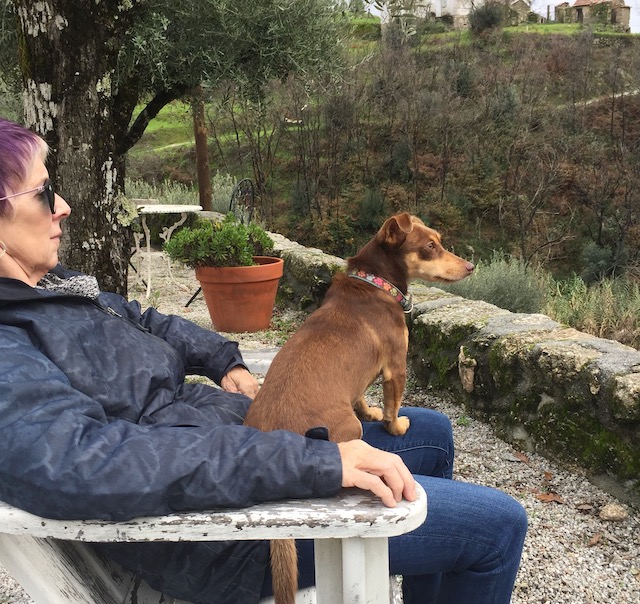 Extended travel by petsitting.  Lady sitting in a chair with a dog on her lap