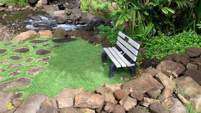 Bench in LImahuli Garden.