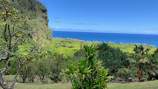 View of the ocean from Limahuli Garden.
