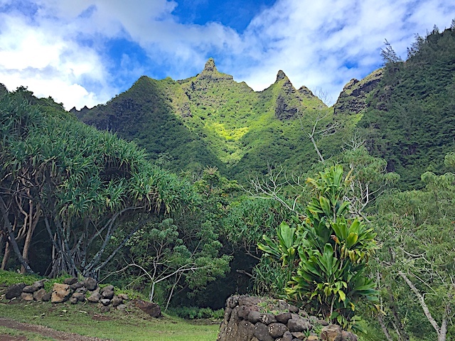 Limahuli Garden mountain pali