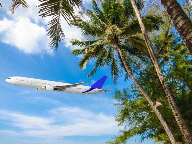 Airplane taking off, flying past palm trees.