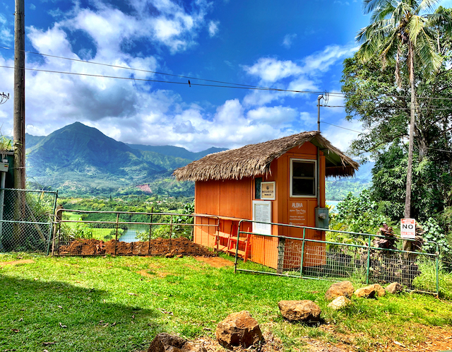 View of the Kauai North Shore taro fields at the Nourish Hanalei cafe.