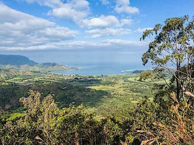 View of the Kauai North Shore and Princeville in particular from the Okolehao viewpoint.