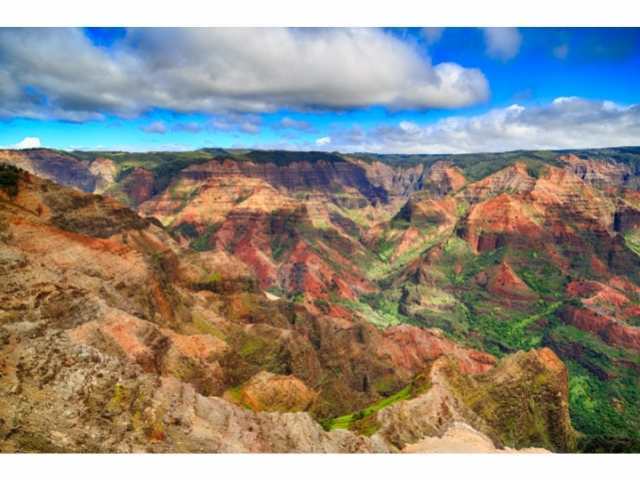 One of the many views of Waimea Canyon and Kokee State Park..