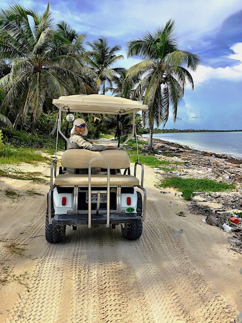 Golf cart in the sand on the way to our traveling pet sit