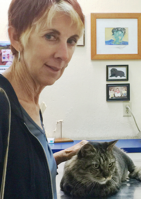 Me and a cat at the vet during a pet sit