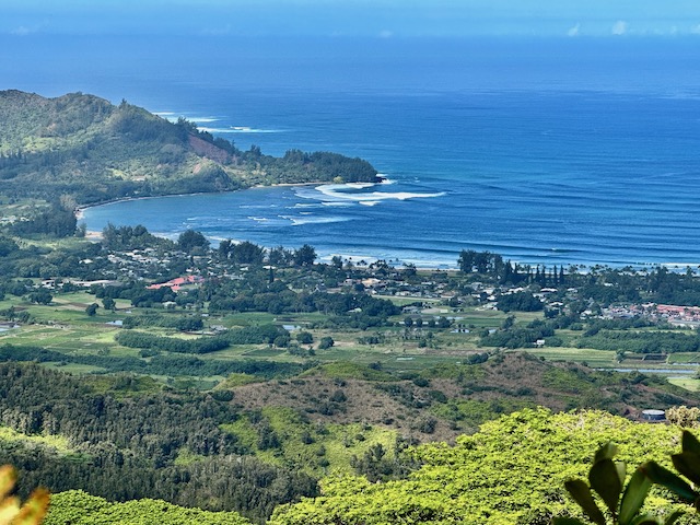 Kauai overlook showing Hanalei Valley and beyond