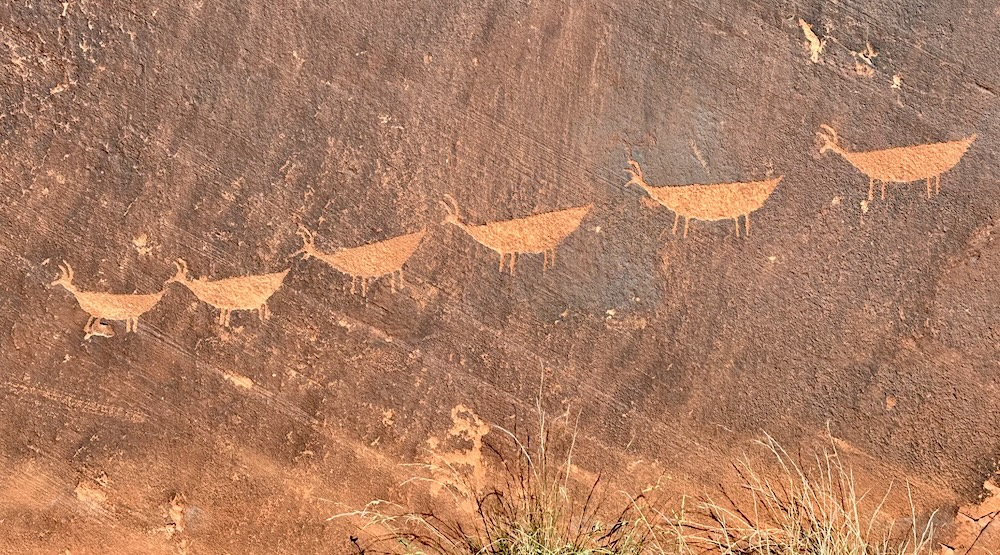 Petroglyphs at Petroglyph beach along the Colorado River in Marble Canyon AZ