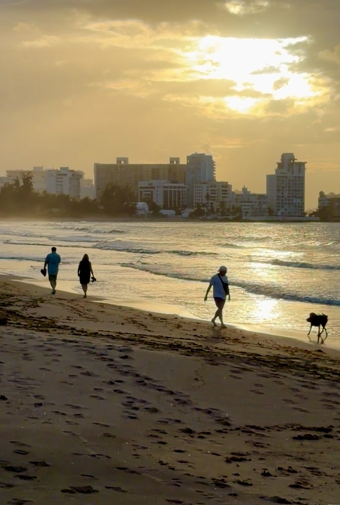 People and dog or Cordado Beach San Juan Puerto Rico
