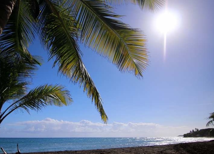 Vieques black sand beach puerto rico