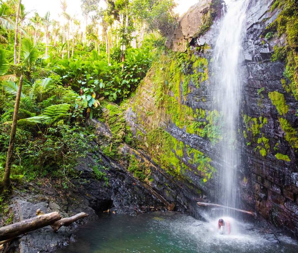 El Yunque waterfall in Puerto Rico